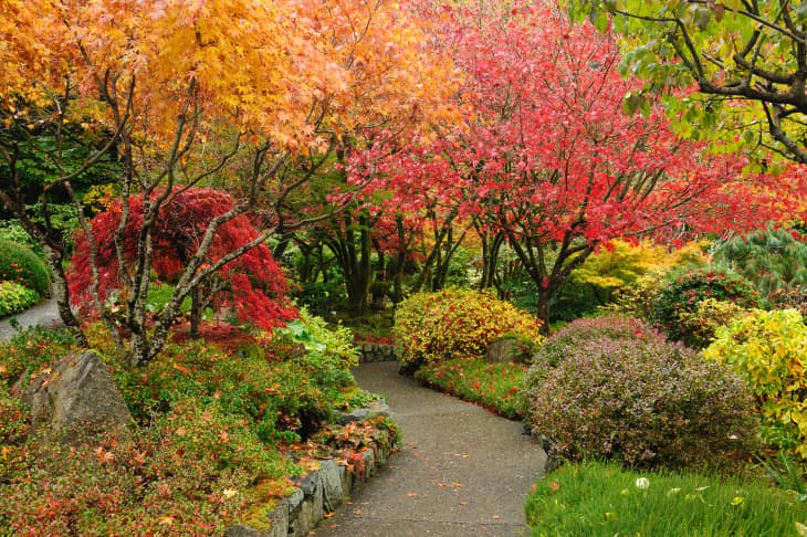 The Beginning of October Marks the Beginning of Something Beautiful